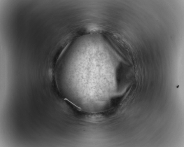 X0000091730716200709141226