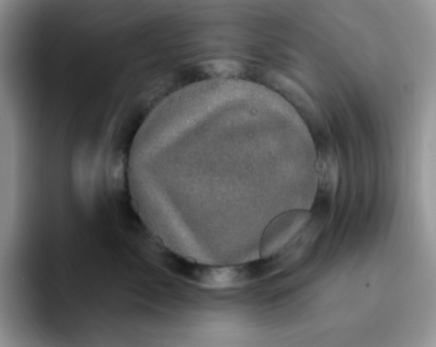 X0000091730717200709141226