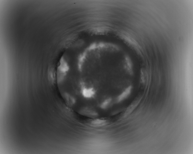 X0000091730718200709141226