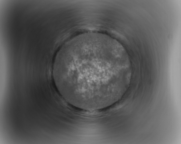 X0000091730720200709141226