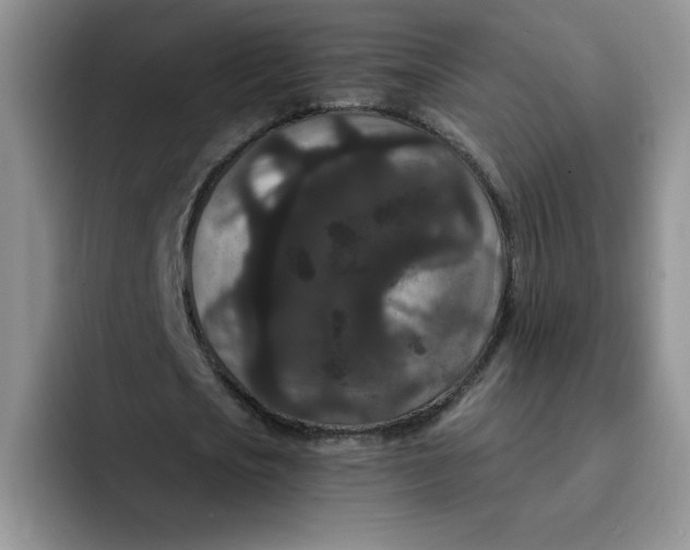 X0000091730721200709141225