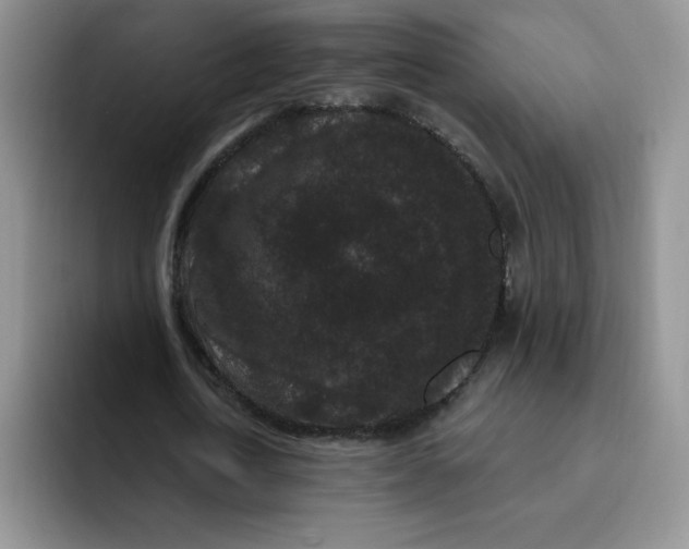 X0000091730722200709141225