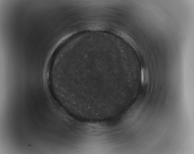 X0000091730723200709141225