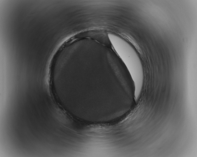 X0000091730724200709141225