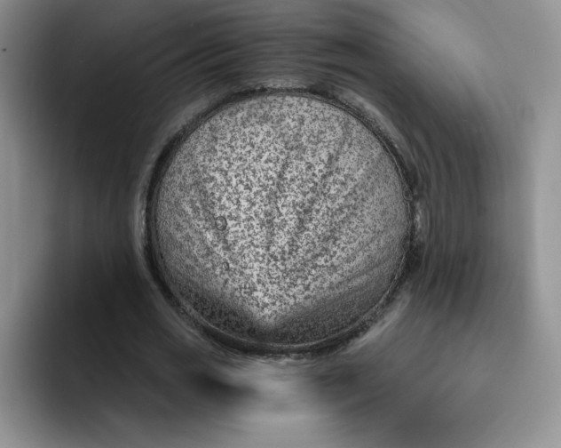 X0000091730725200709141225