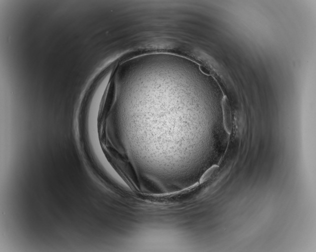 X0000091730726200709141225