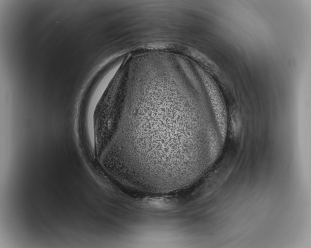 X0000091730728200709141225