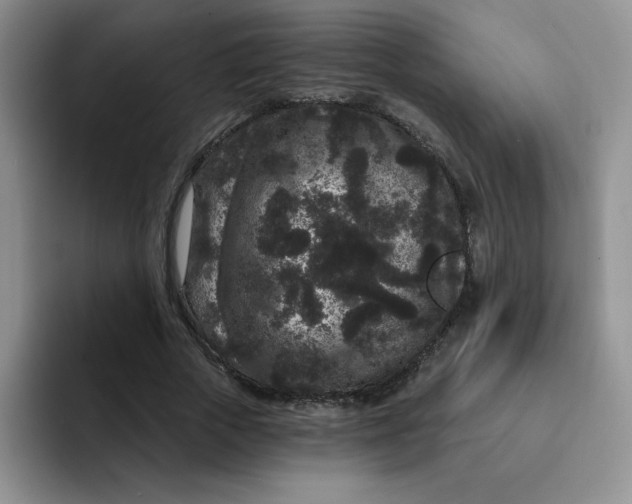 X0000091730729200709141225