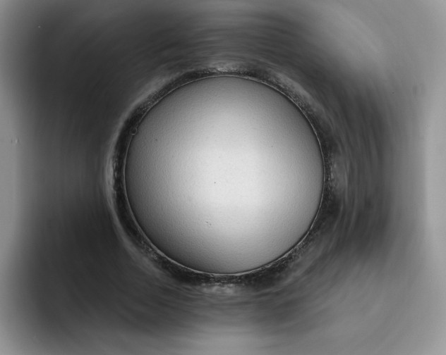 X0000091730730200709141225