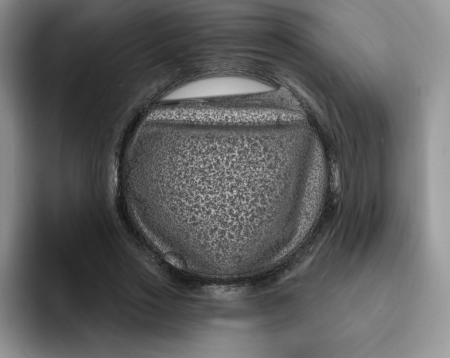 X0000091730733200709141225