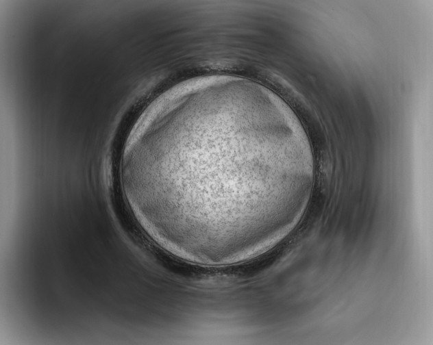 X0000091730734200709141225