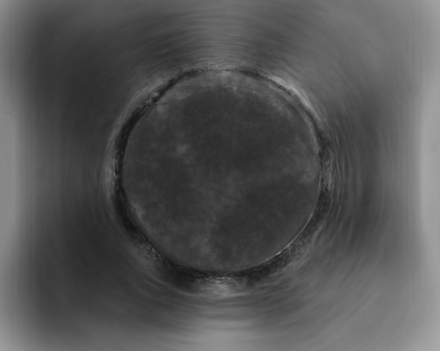 X0000091730736200709141225