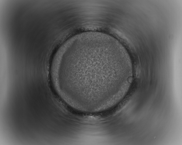 X0000091730737200709141225