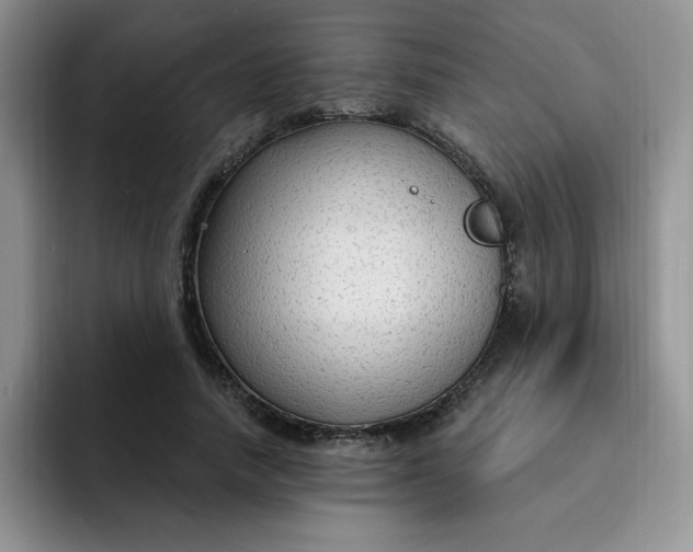 X0000091730738200709141225