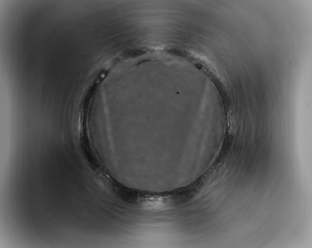 X0000091730740200709141225