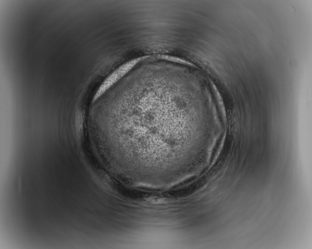 X0000091730742200709141225