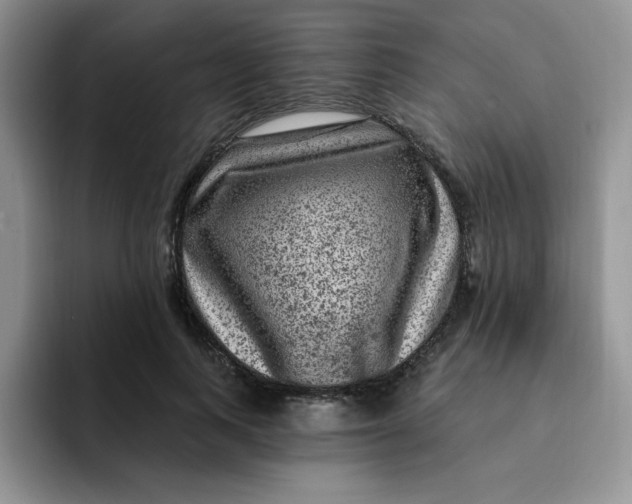 X0000091730743200709141225