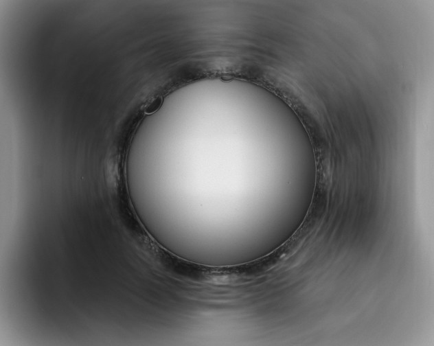 X0000091730746200709141225