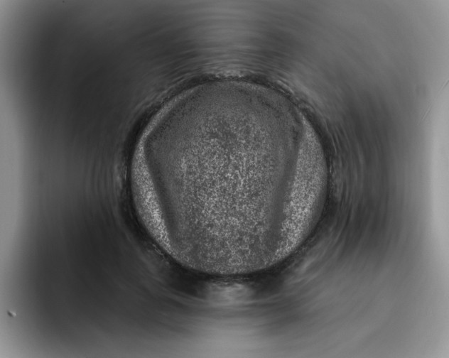 X0000091730747200709141225