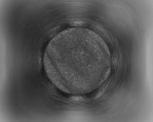 X0000091730749200709141225