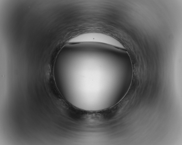 X0000091730752200709141225