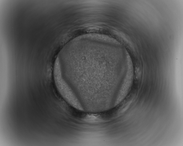 X0000091730753200709141225