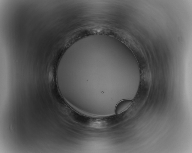 X0000091730754200709141225