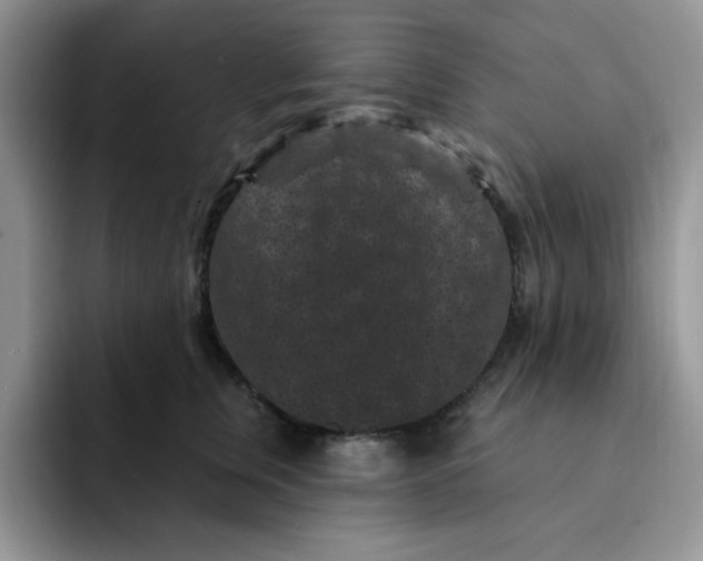 X0000091730759200709141225