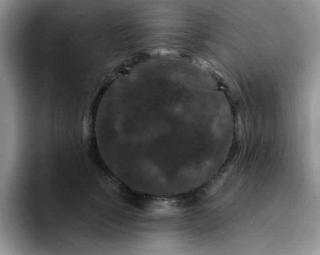 X0000091730760200709141225