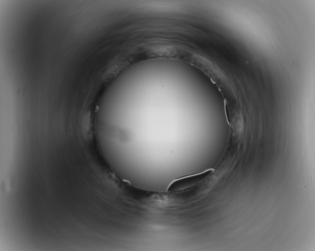 X0000091730764200709141225