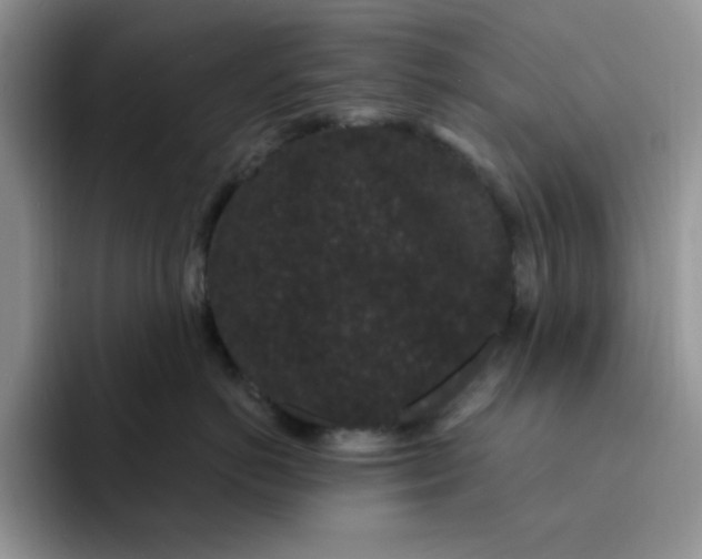 X0000091730766200709141226