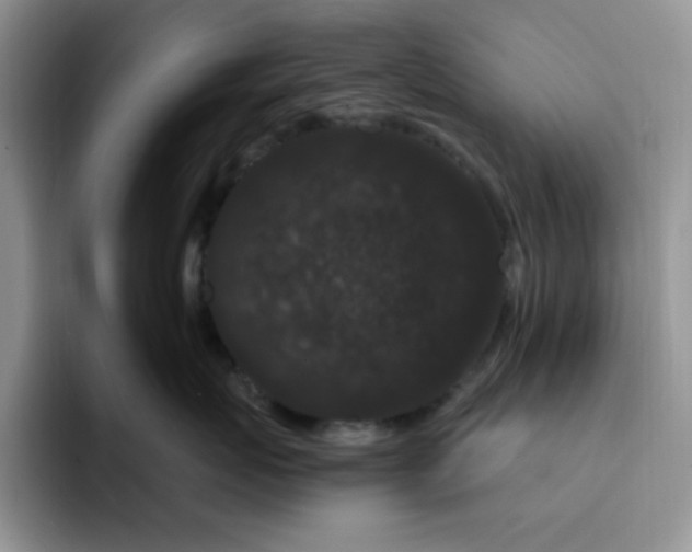 X0000091730767200709141226