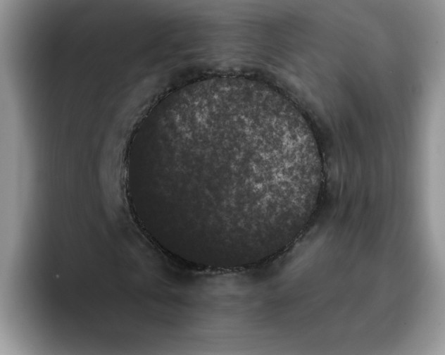 X0000091730769200709141225