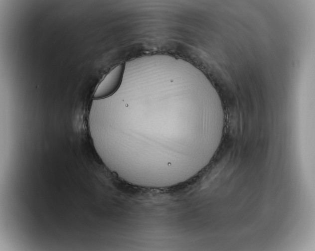 X0000091730770200709141225