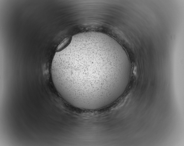 X0000091730771200709141225