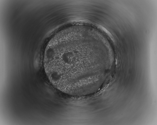 X0000091730775200709141225