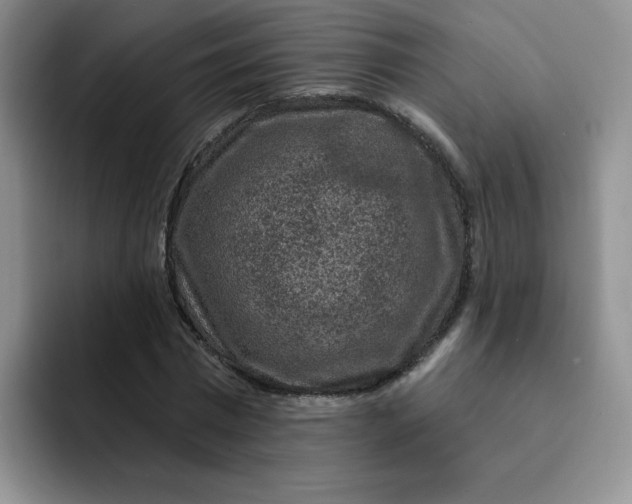 X0000091730777200709141225