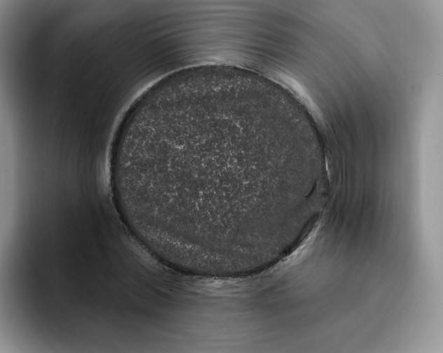 X0000091730780200709141225