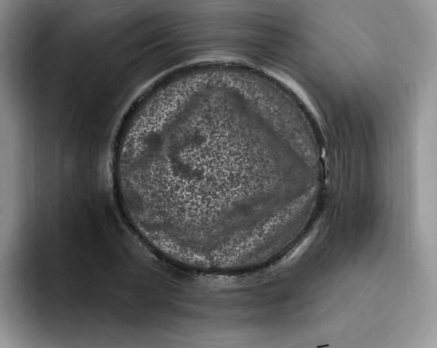 X0000091730783200709141225