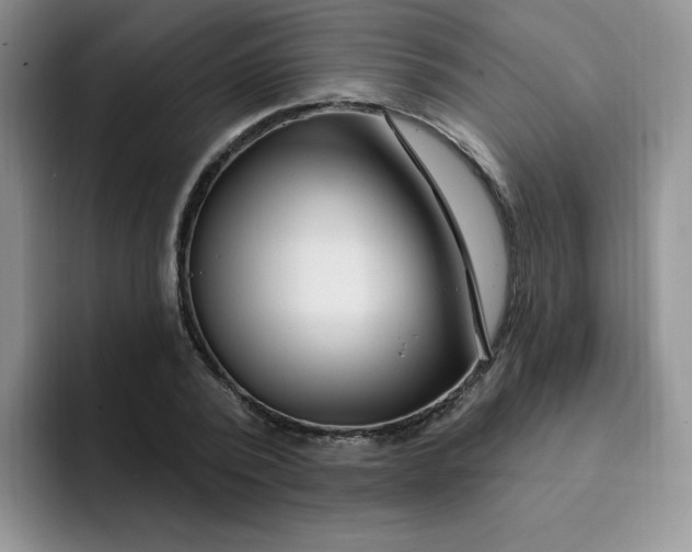 X0000091730784200709141225