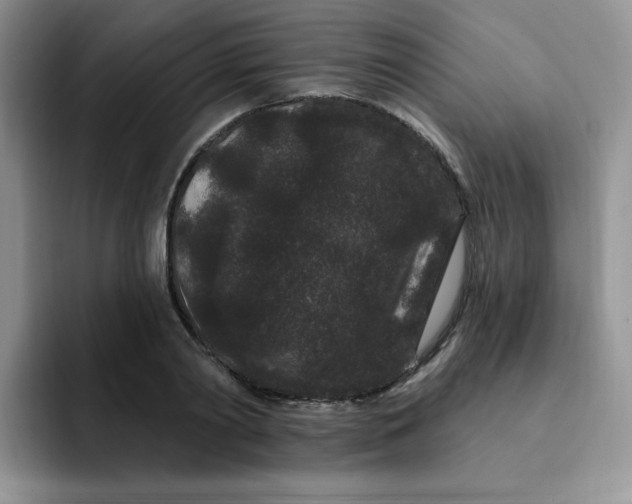 X0000091730790200709141224