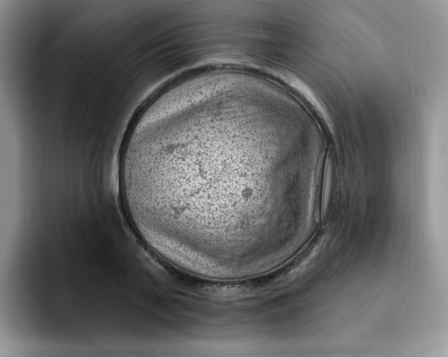 X0000091730791200709141224