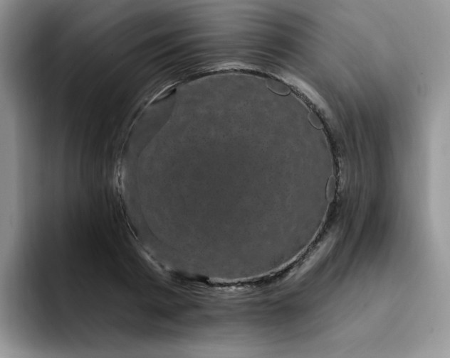 X0000091730793200709141224