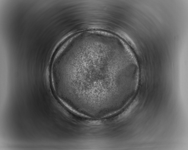 X0000091730798200709141224