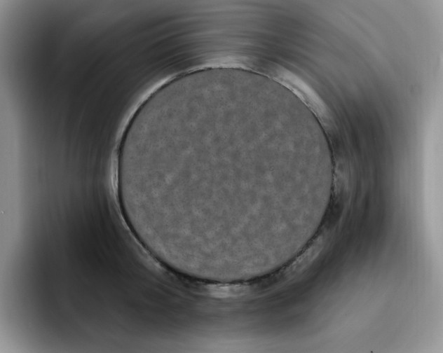 X0000091730804200709141224