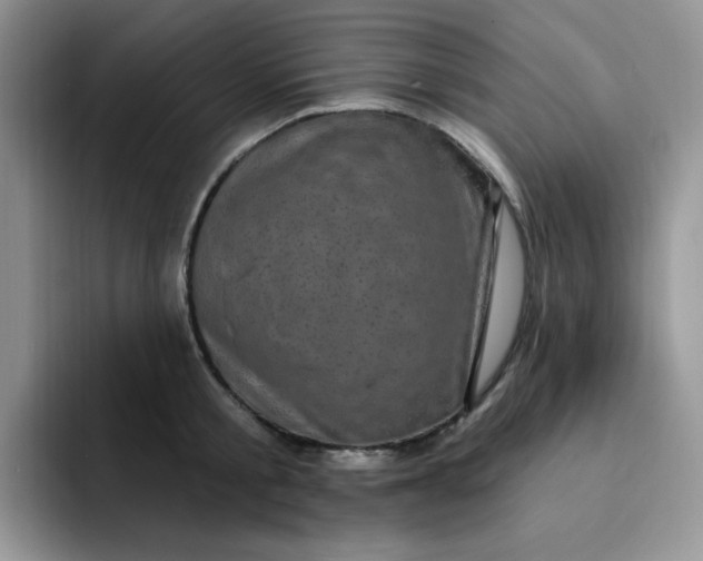 X0000091730805200709141224