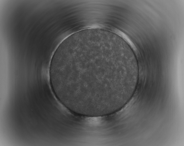 X0000091730810200709141224