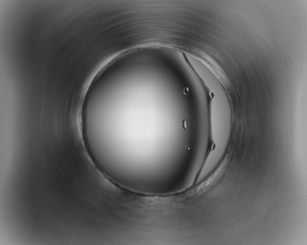 X0000091730812200709141224