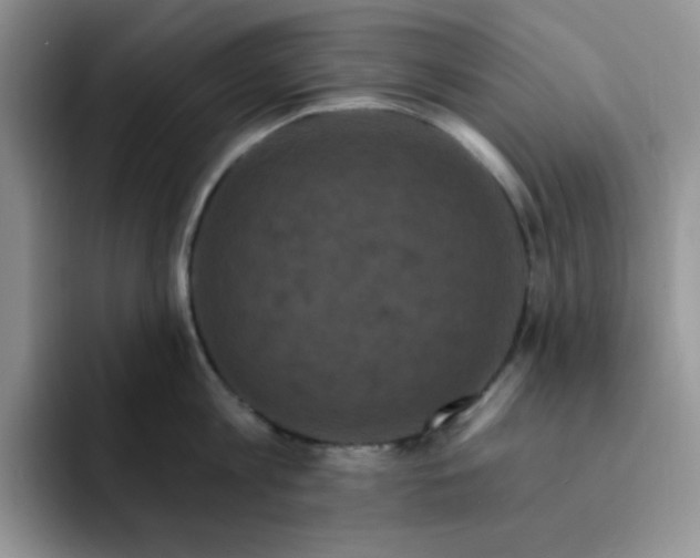 X0000091730813200709141224