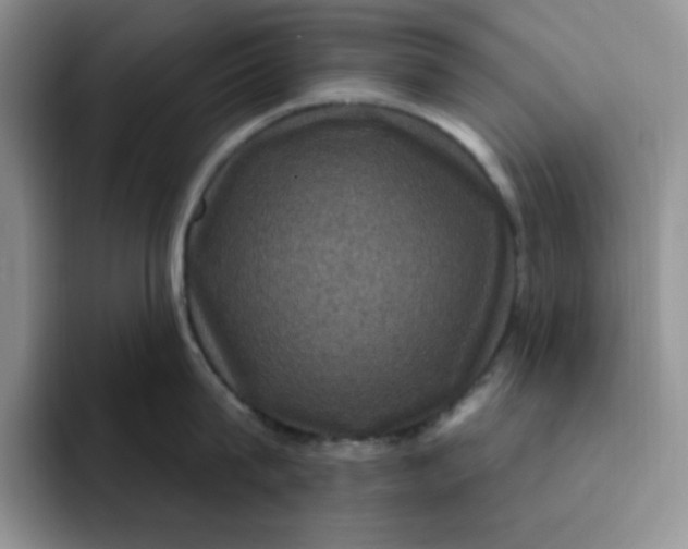 X0000091730815200709141224